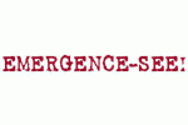 emergencesee logo 28401