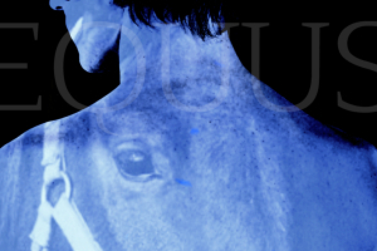 equus logo 34635