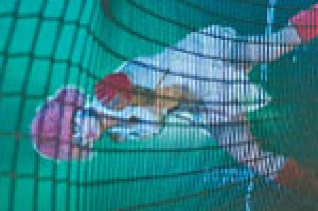 faust a love story logo 7632