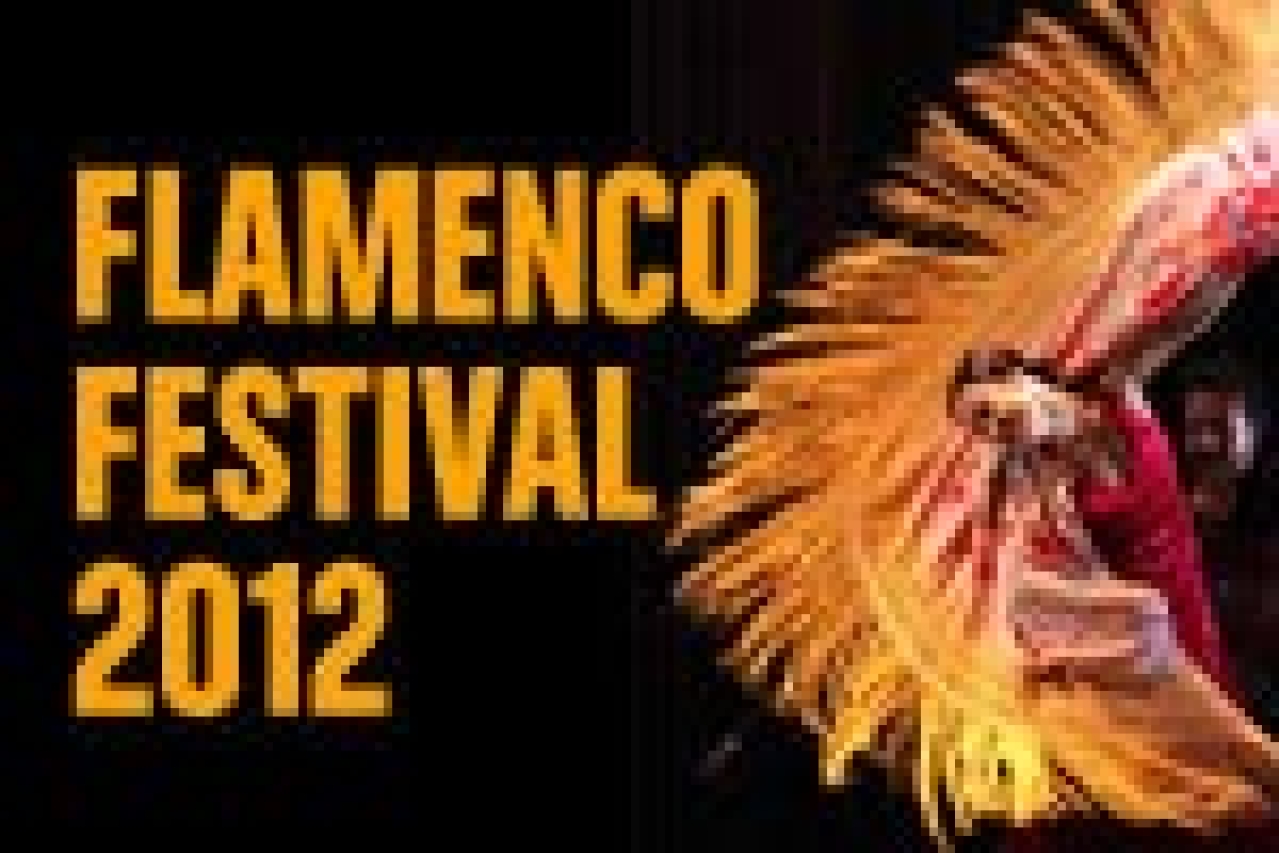 flamenco festival 2012 logo 13113