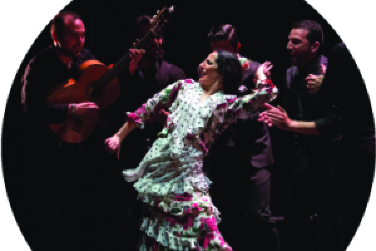 flamenco festival 2020 gala flamenca logo 89825