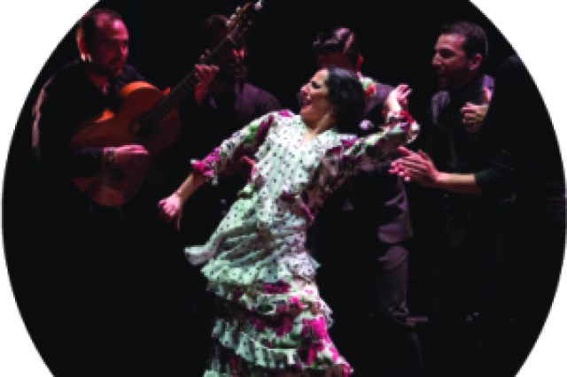 flamenco festival 2020 gala flamenca logo 89826