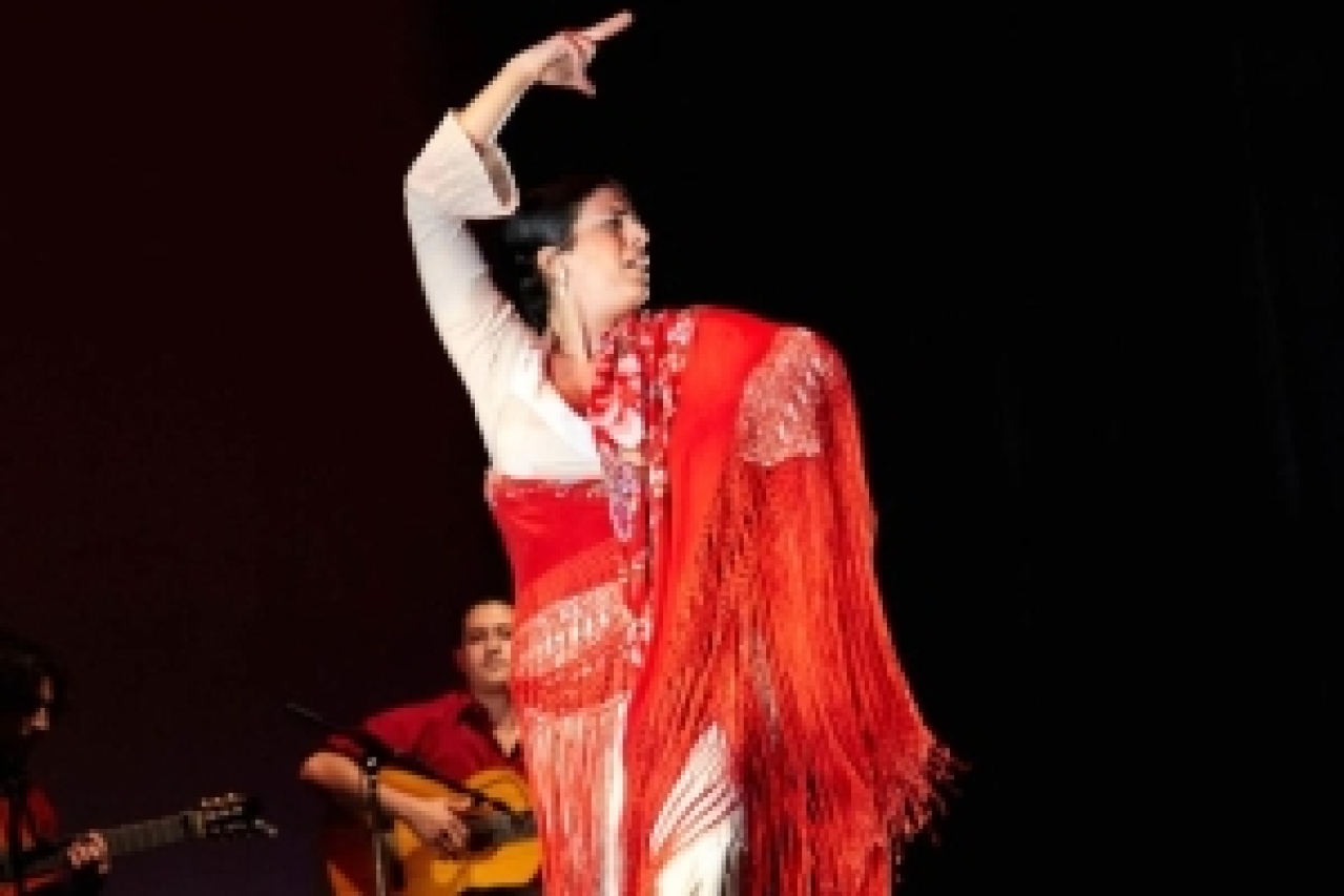 flamenco vivocarlota santana the soul of flamenco logo 43061