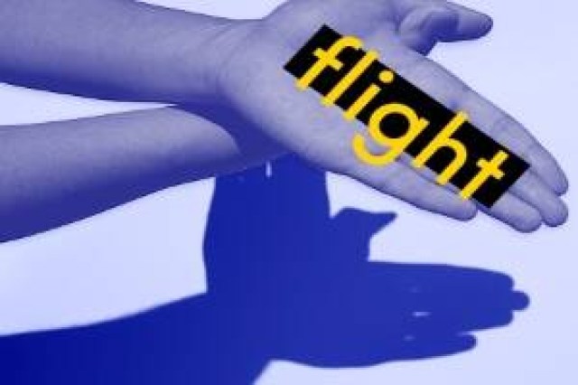 flight logo 94938 1