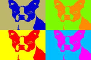 Four Dogs and a Bone