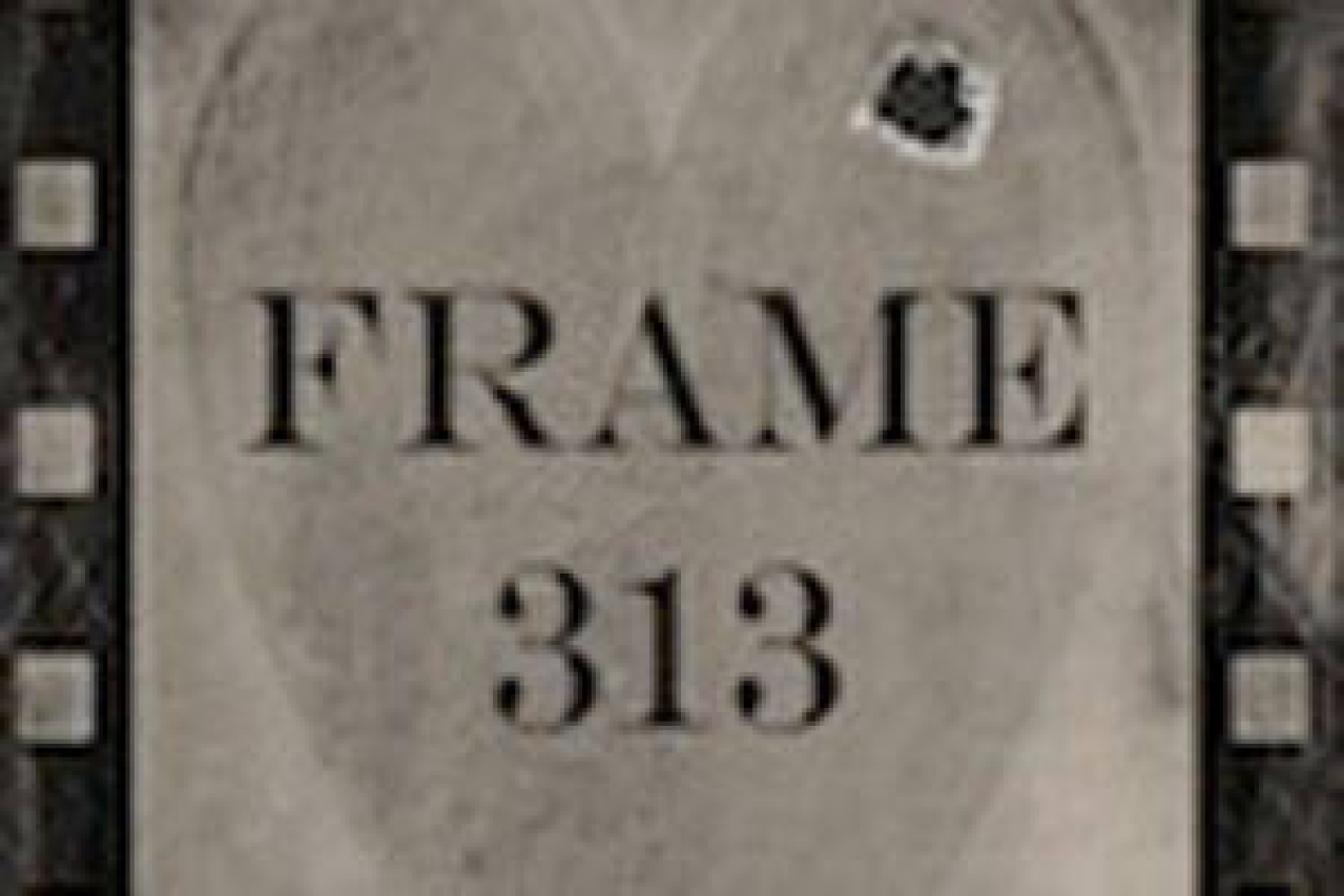 frame 313 logo 39737