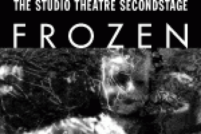 frozen logo 28165