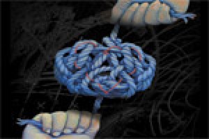 Gideon’s Knot