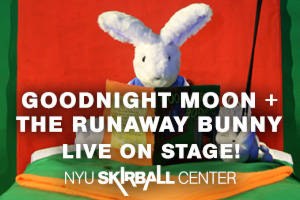 Goodnight Moon + The Runaway Bunny