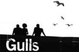 Gulls