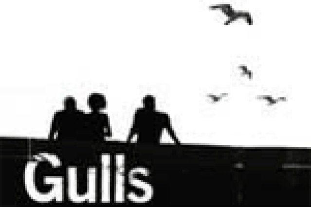 gulls logo 22557