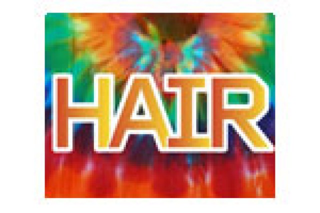hair logo 8003