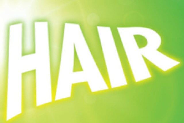 hair logo 91161