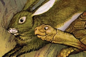 Hare & Tortoise