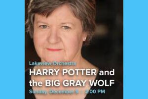 Harry Potter and the Big Gray Wolf