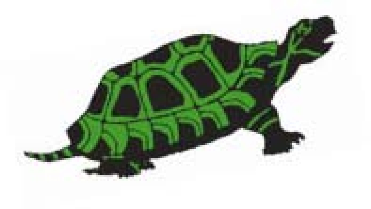 how the turtle got its shell logo 20947