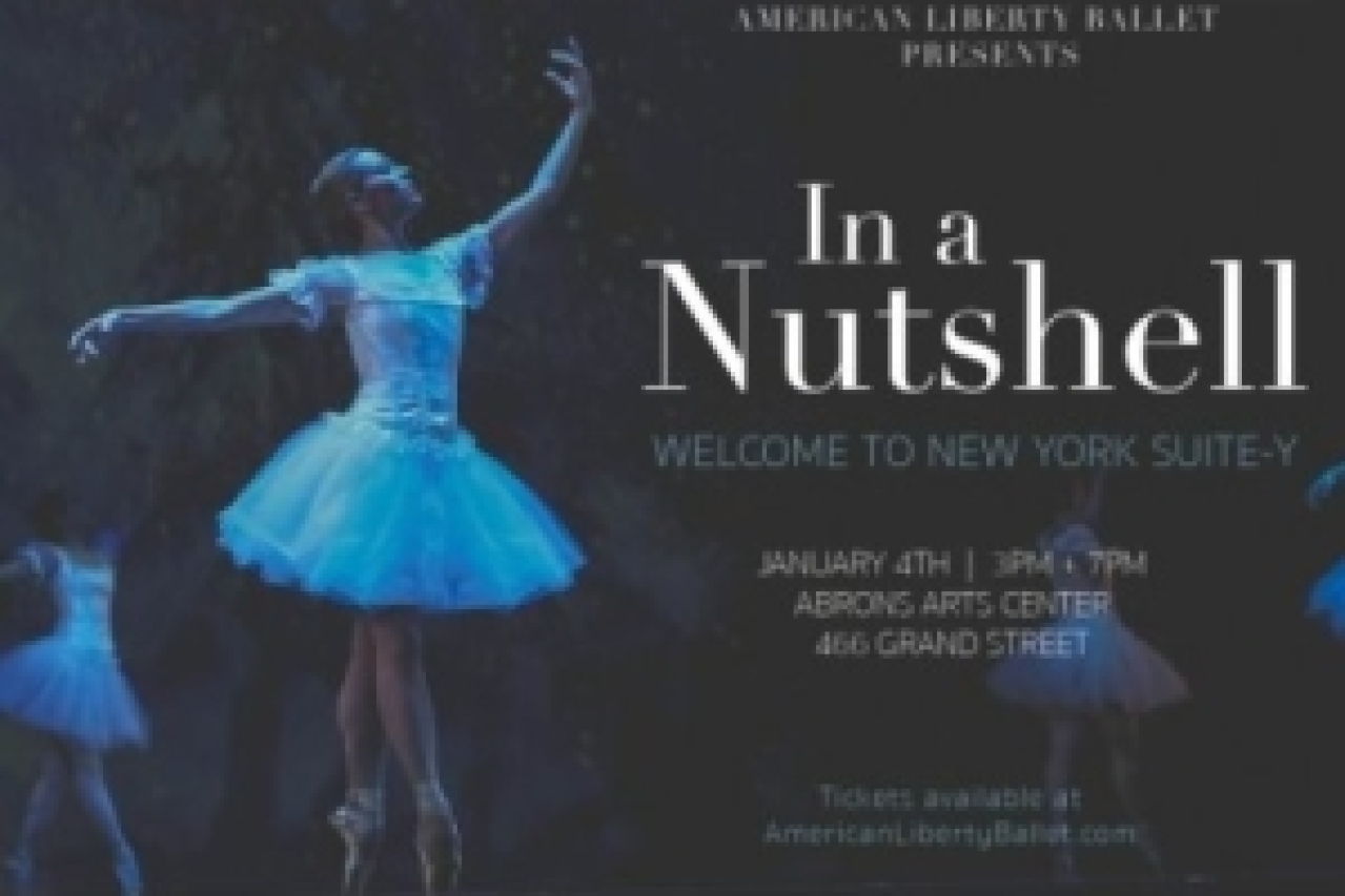 in a nutshell welcome to new york suitey logo Broadway shows and tickets