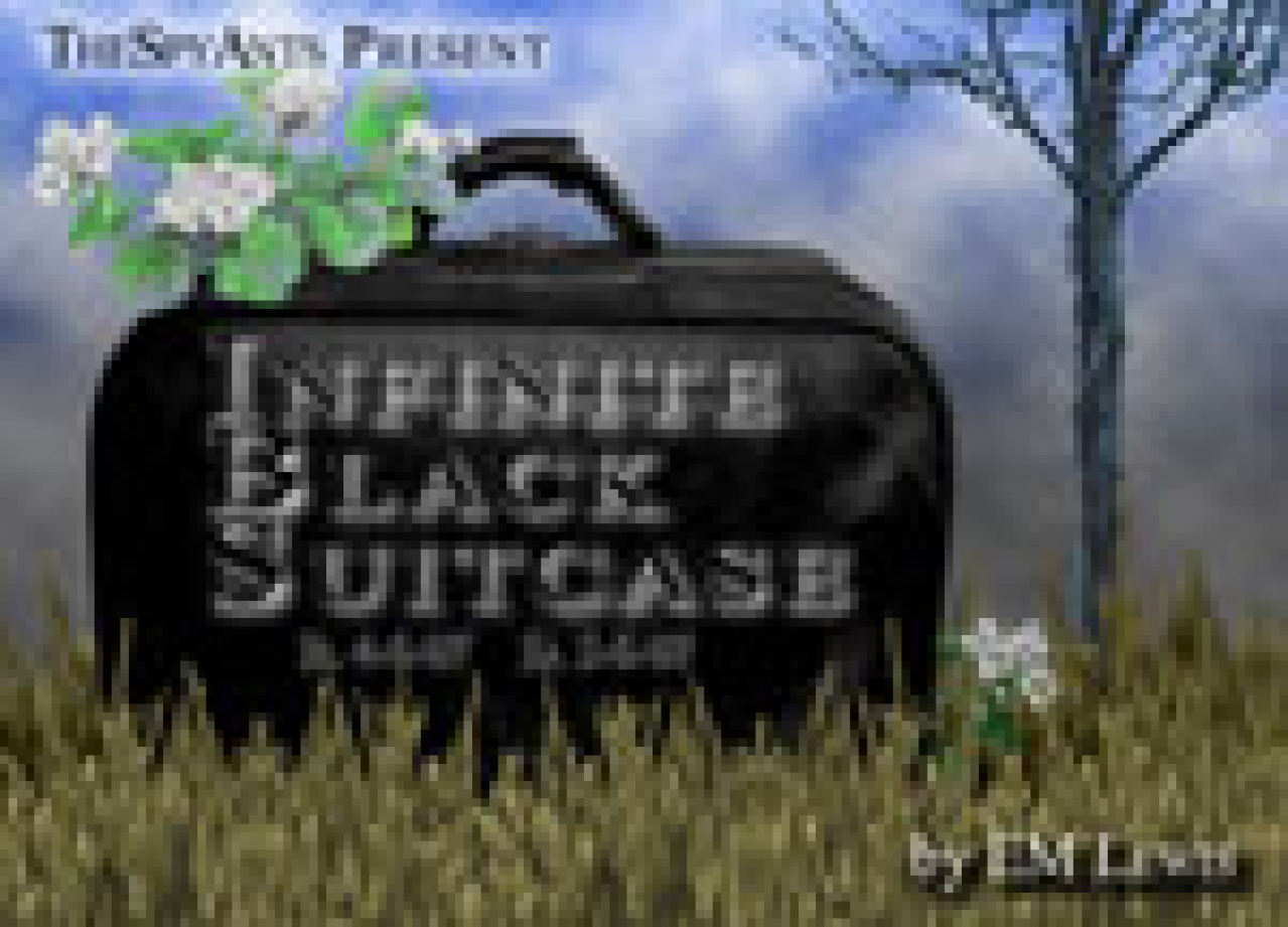 infinite black suitcases logo 25883
