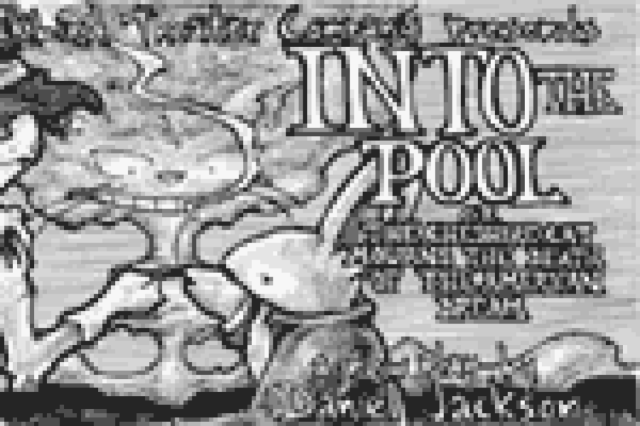 into the pool or the cheshire cat mourns the death of the american dream logo 21684