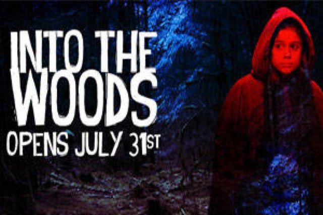 into the woods logo 50231