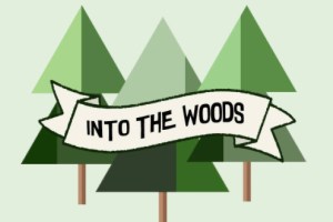 Into the Woods