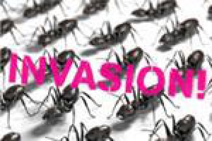 Invasion!