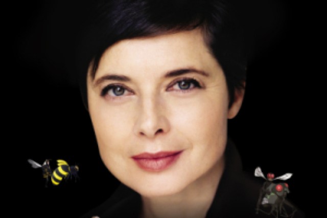 isabella rossellini logo 44791