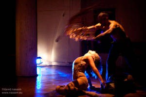 JDTLab: Wild Horses