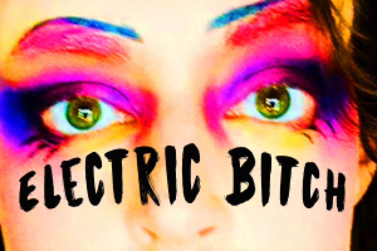 katy berry presents electric bitch logo 90454