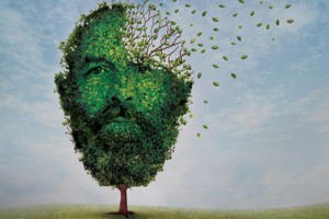 king lear logo 60801