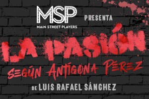 La Pasion Segun Antigona Perez