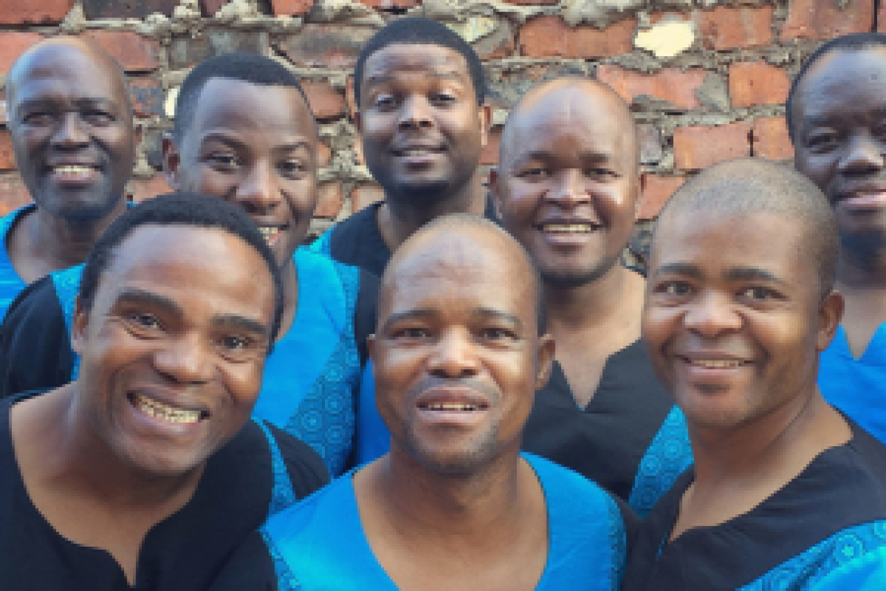 ladysmith black mambazo logo 87907