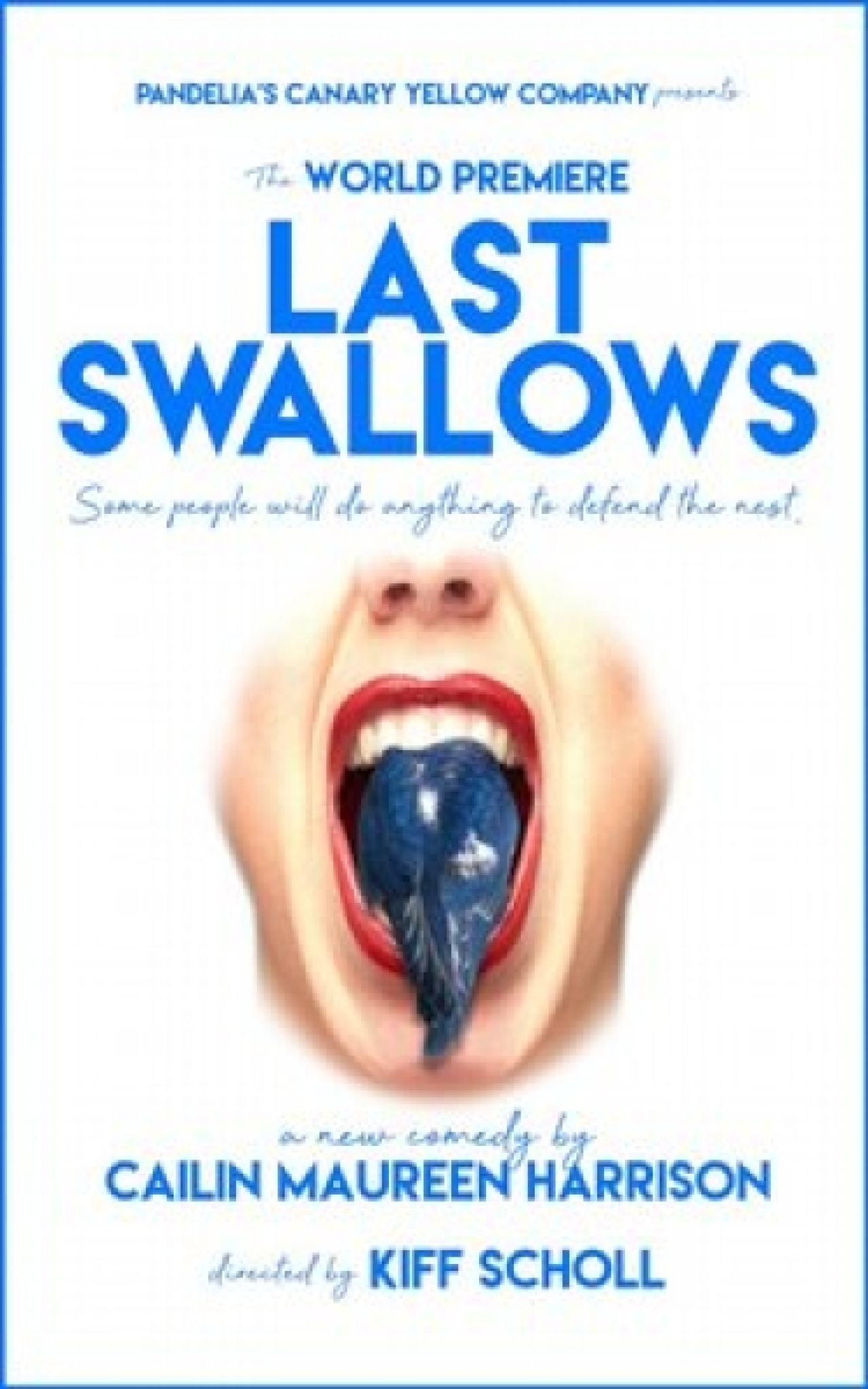 last swallows logo 86870