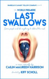 Last Swallows