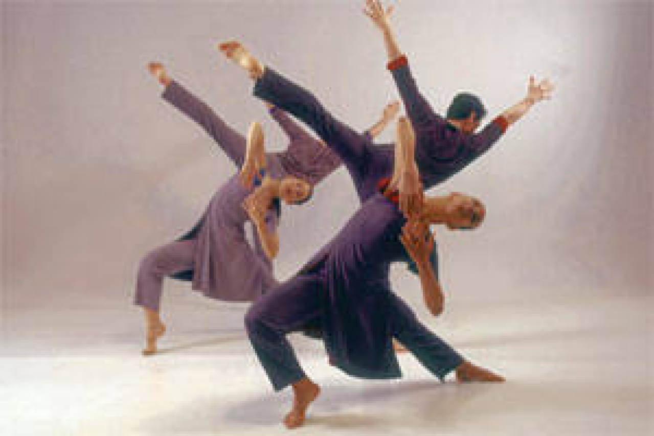 limn dance company logo 36701