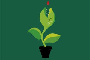 Little Shop of Horrors