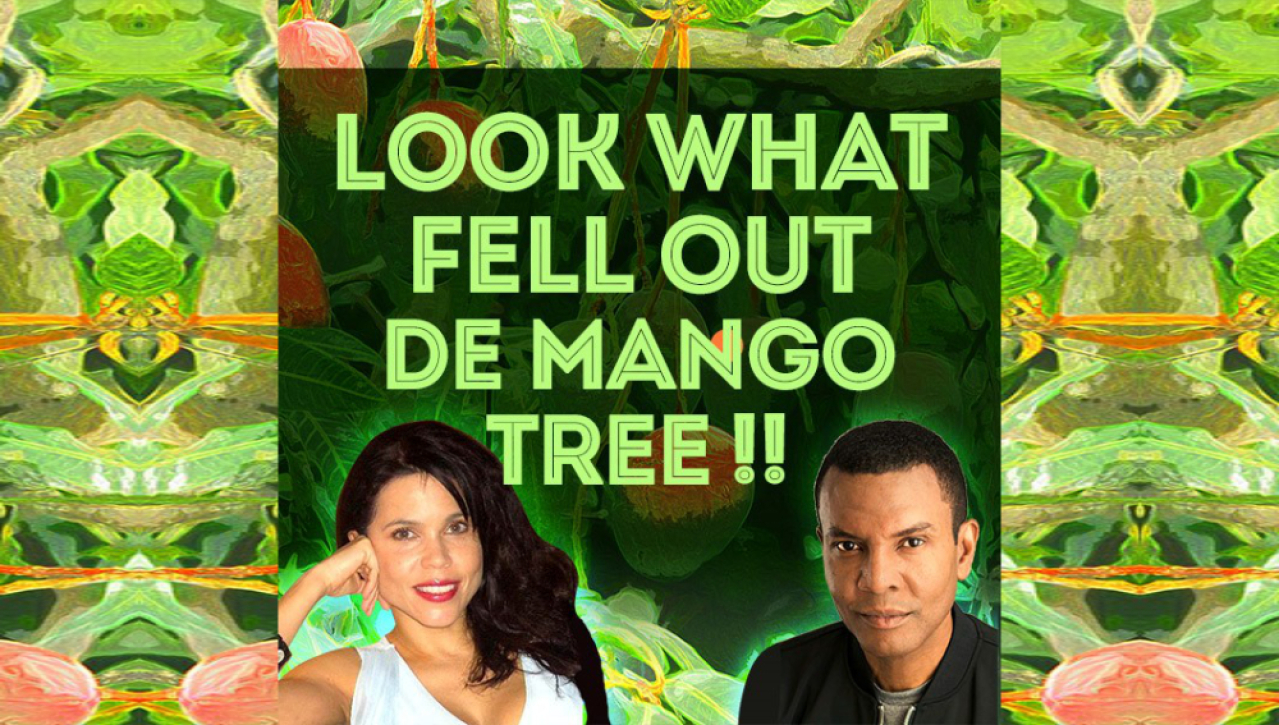 look what fell out de mango tree logo 99256 1