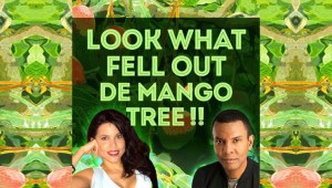 Look What Fell Out De Mango Tree