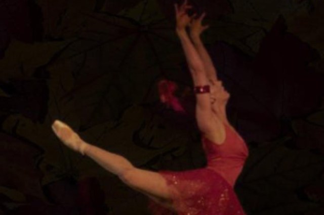 luminario ballets gala bacchanal logo 88758