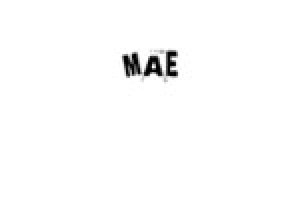 MAE: a progress in work