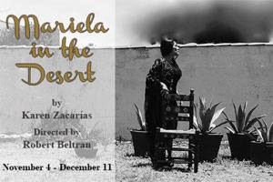 mariela in the desert logo 62465