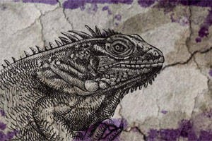 Marriage, Lizards and Love