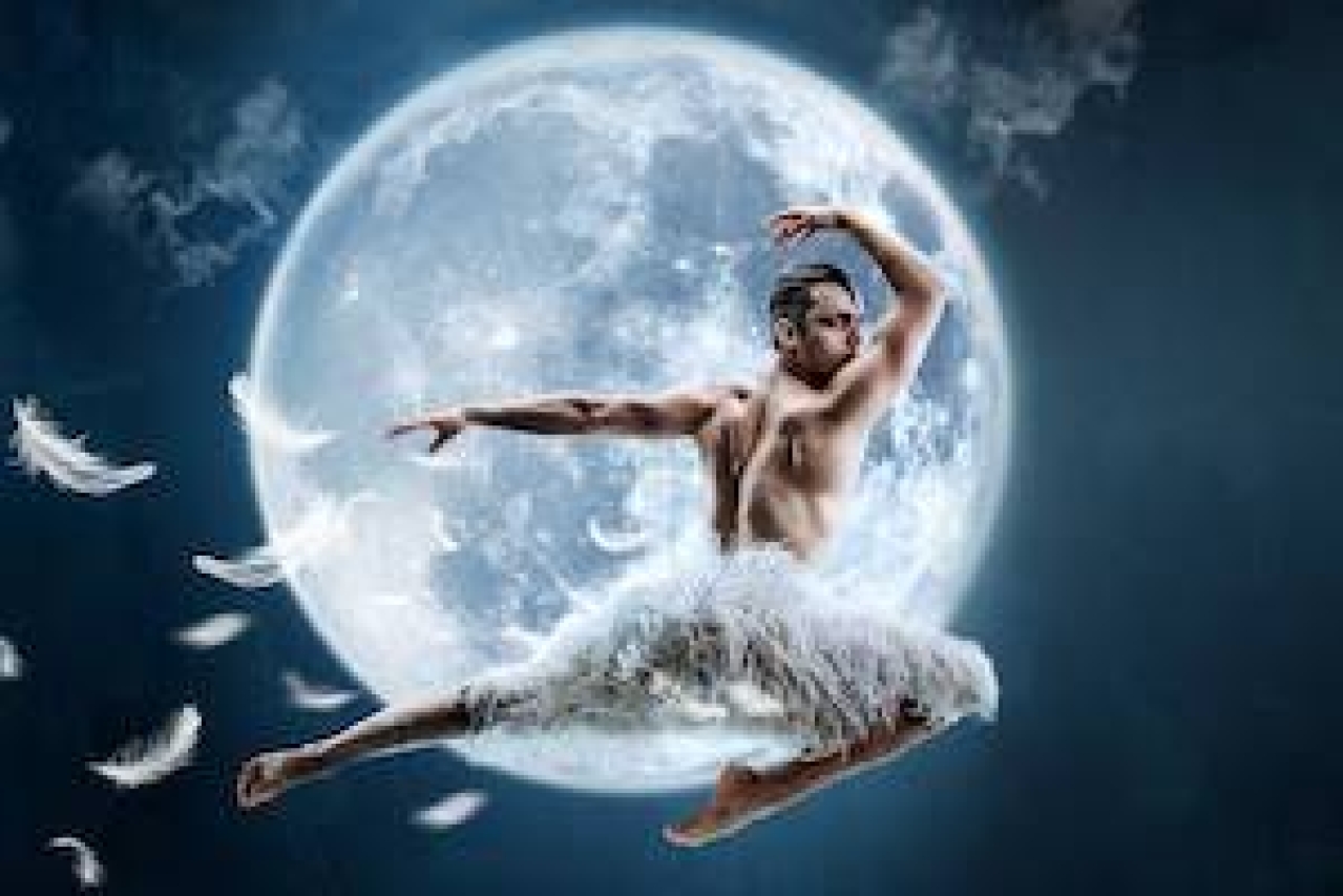 matthew bournes swan lake logo Broadway shows and tickets