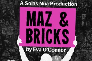 Maz & Bricks