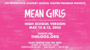 Mean Girls: High School Version