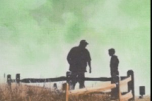 Mending Fences
