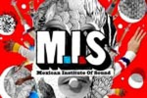 Mexican Institute of Sound
