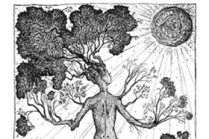 Michigan Trees: A Guide to the Trees of Michigan and the Great Lakes Region