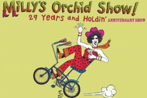 Milly’s Orchid Show: 29 Years and Holdin’