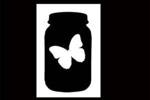 Moth